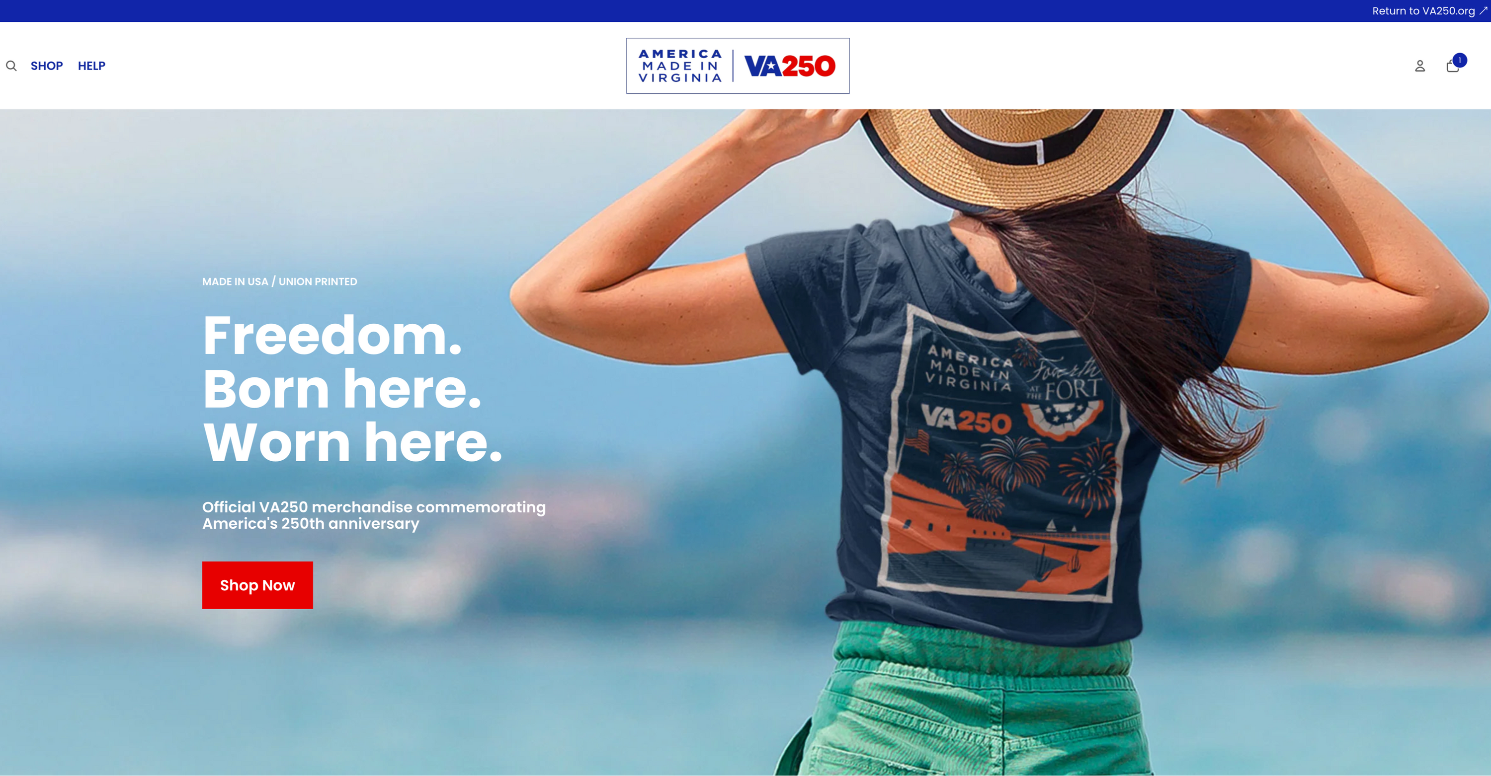 Woman wearing a t-shirt with VA250 branding by a body of water, featuring the VA250 logo and text.