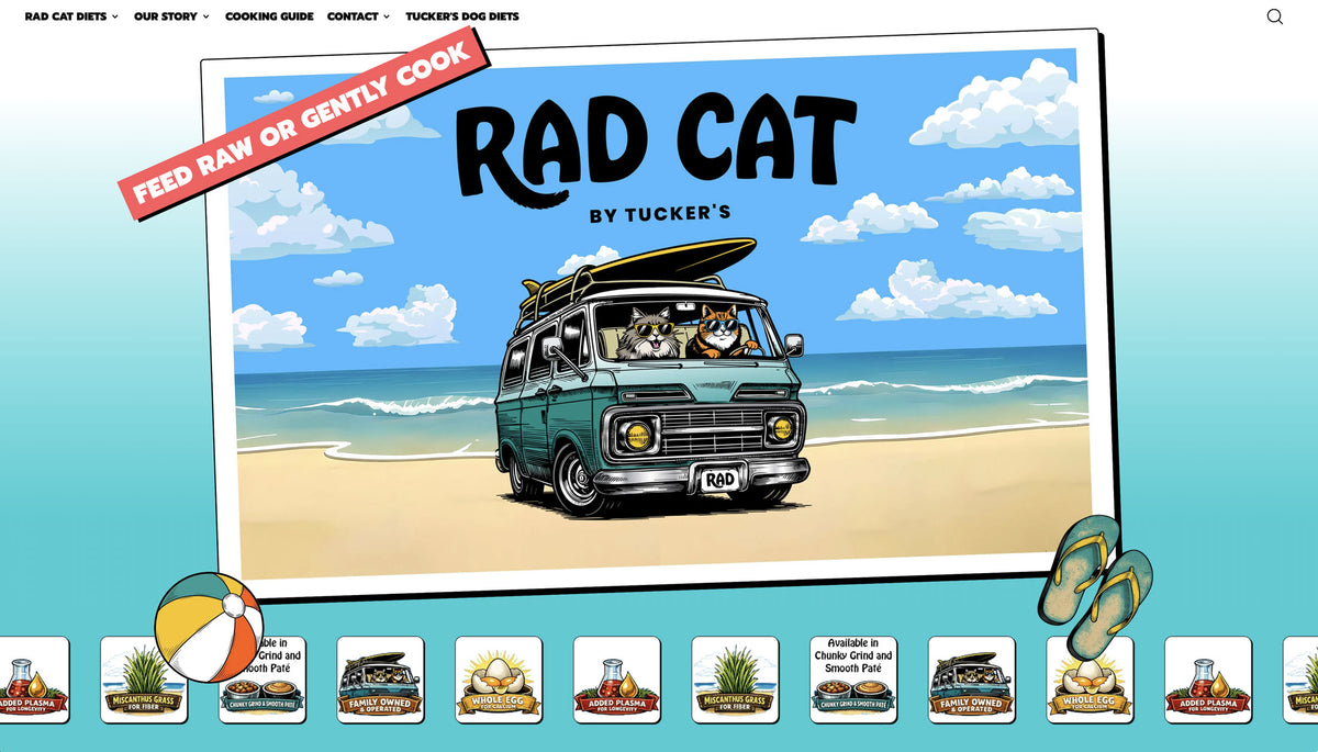 A printed or digital cover-style graphic for 'Rad Cat' by Tucker's, showing an illustrated teal van with a surfboard on a beach under a blue sky. The design includes a red diagonal banner reading 'Feed Paw or Gently Cook,' a website navigation bar at the top, small product thumbnails along the bottom, and flip-flops near the lower right.